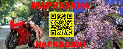 стаф Будённовск