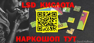 стаф Будённовск