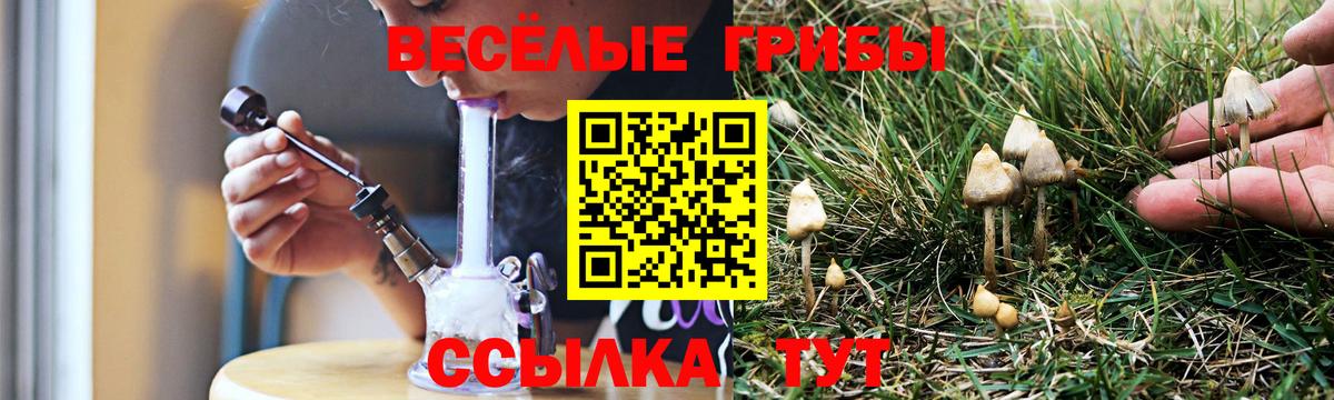 Глазов  Галлюциногенные грибы Cubensis  Вход с VPN 